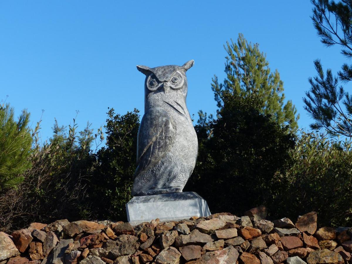 L'Incarnat Villa Caunes-Minervois Kültér fotó